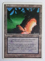 ►SAFE HAVEN ►CHRONICLES 1995 THE DARK ►NM ►LAND ►MAGIC THE GATHERING ►MTG