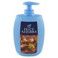 PAGLIERI Felce Azzurra Nutriente Ambra & Argan Flüssigseife Spender 1 x 300 ml