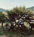 Orbea Gain Carbon E-Gravel Sonderaufbau Größe L