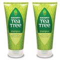 Teebaum Shampoo + Conditioner natürliches Pfefferminzöl & kühlendes Menthol Escenti