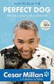 How to Raise the Perfect Dog: Through Puppyhood and  by Millan, Cesar 0340993065