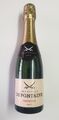 Champagne Defontaine Premium Brut 375ml Champagner Frankreich Schaumwein 12,5% v
