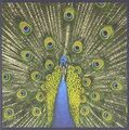 Bluetones Expecting to fly (1995/96) [CD]