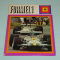 Formel 1, illustriertes Buch bei südwest farbig erschienen, vintage, historisch