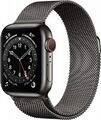 Apple Watch Series 6 [GPS + Cellular, inkl. Milanaise-Armband graphit] 40mm Ed A