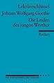 Johann Wolfgang Goethe: Die Leiden des jungen Werther. L... | Buch | Zustand gut