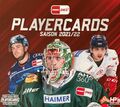 DEL 21/22 Teamset Basecards Düsseldorfer EG alle 25 Karten