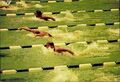 Ak 200 Meter Schmetterling, Frauen-Endlauf, Mexiko 1968 - 4177309