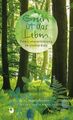 Grün ist das Leben, Eschbach Verlag, Hardcover, Gelb, Spiritualität
