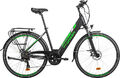 Doc Green Citybike Manhatten 28 Zoll Damen E-Bike Pedelec Sehr Gut - Refurbished