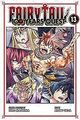 FAIRY TAIL: 100 Years Quest 13 von Mashima, Hiro | Buch | Zustand sehr gut