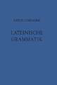 Lateinische Grammatik: Auf der Grundlage der Lateinischen Schulgrammatik Buch