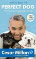How to Raise the Perfect Dog: Through puppyhood and  by Millan, Cesar 0340993057