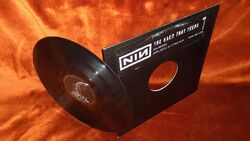 Nine Inch Nails The Hand That Feeds DFA Remixes PROMO