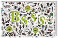 Bsss: Die ganze Welt der Insekten. Mit Sound-Chips im Cover | Buch | Zustand gut