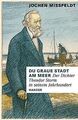 Du graue Stadt am Meer: Der Dichter Theodor Storm in sei... | Buch | Zustand gut
