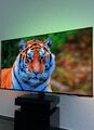 Philips Fernseher OLED Ambilight 4K