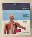 PROMETHEUS Thieme LernKarten der Anatomie *NEUE* 8. Auflage 2022 Originalverp.