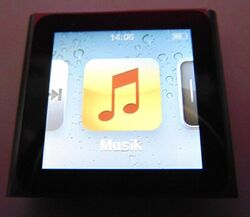 Apple iPod Nano 6. Generation Gen 8GB Grau - 1. Hand gebraucht ohne Earphones