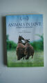 Animals in Love - Tierisch verliebt - DVD 
