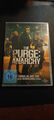 The Purge - Anarchy (DVD) 