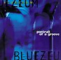 Bluezeum Portrait of a groove (1996) [CD]