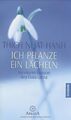 Ich pflanze ein Lächeln: Der Weg der Achtsamkeit vo... | Buch | Zustand sehr gut