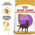 ROYAL CANIN Labrador Retriever Sterilised Adult Hundefutter Trockenfutter 12kg