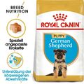 12 kg ROYAL CANIN German Shepherd Junior Deutscher Schäferhund