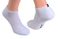 6 oder 12 Paar Sport-Sneakers Kurz-Socken Frotteesohle Marke Cocain 35 42 43 50