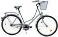 28 ZOLL DAMEN CITY HOLLAND FAHRRAD BIKE Rad Citybike Hollandrad STVO Rücktritt