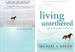 Michael A.Singer 2 Bücher Set: Unaufhaltsam Soul + Living (Englisch)