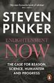 Steven Pinker | Enlightenment Now | Taschenbuch | Englisch (2019) | XVIII