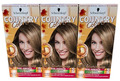 3x Schwarzkopf Country Colors Intensivtönung 40 Nevada Dunkelblond