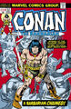 Conan der Barbar: Das Original Marvel Years Omnibus Vol. 3 DM Variante