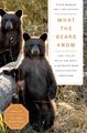 Was die Bären wissen: Wie ich Wahrheit und Magie in Amerikas am meisten missverstanden fand