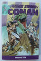 Das wilde Schwert von Conan Band 10 Erstausgabe Dark Horse Buch Graphic Novel