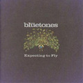 The Bluetones Expecting to Fly (CD) Album