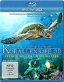 Faszination Korallenriff 3D - Fremde Welten unter Wa... | DVD | Zustand sehr gut