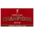 Liverpool FC Premier League Champions Flagge