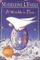 A Wrinkle in Time (The Time Quartet) von Madeleine L'Engle | Buch | Zustand gut