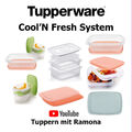 Tupperware, Cool´N Fresh Varianten, K41 Behälter, A177 Schneidbretter, neu/OVP