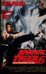 Karate  Tiger  6 *  FSK erst ab 18 Jahren * KULT ~ ERSTAUFLAGE * Sasha  Mitchell