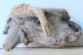 Treibholz Schwemmholz Driftwood  1 knorrige   Skulptur Basteln Dekoration 35 cm