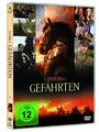 Gefährten - DVD / Blu-ray - *NEU*