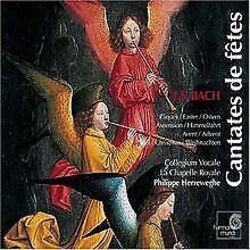 Bach:Festive Cantatas von Herreweghe, Collegium Vocale | CD | Zustand sehr gutGeld sparen & nachhaltig shoppen!