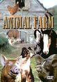 Animal Farm von John Stephenson | DVD | Zustand sehr gut