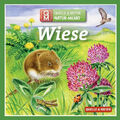 Quelle & Meyer|Natur-Memo "Wiese" (Spiel)|ab 5 Jahren