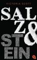 Salz & Stein: Deutsche Erstausgabe (Die Feuer & Flut-Romane, Band 2) Scott, Vict