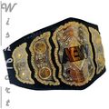 Premium AEW Weltmeisterschaftsgürtel - All Elite Wrestling Sammlerstück Exzellenz